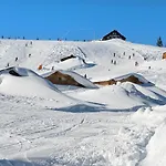21 *