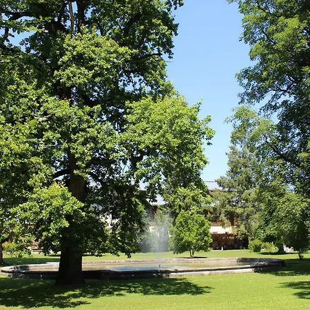 21 アパート ザンクト・マルティン・バイ・ローファー