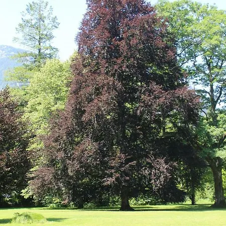 21 アパート ザンクト・マルティン・バイ・ローファー